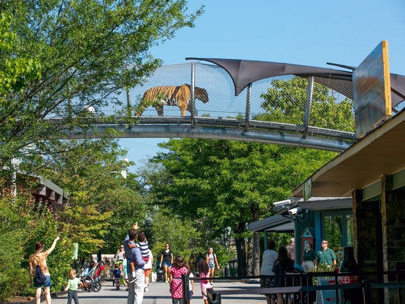 Picture of Philadelphia Zoo