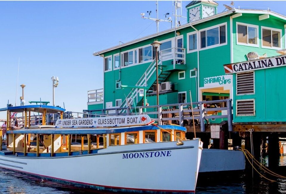 Picture of Glass Bottom Boat Voyage