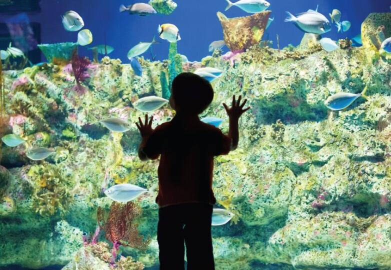 Picture of North Carolina Aquarium at Fort Fisher