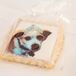 Dog Cookie Favors