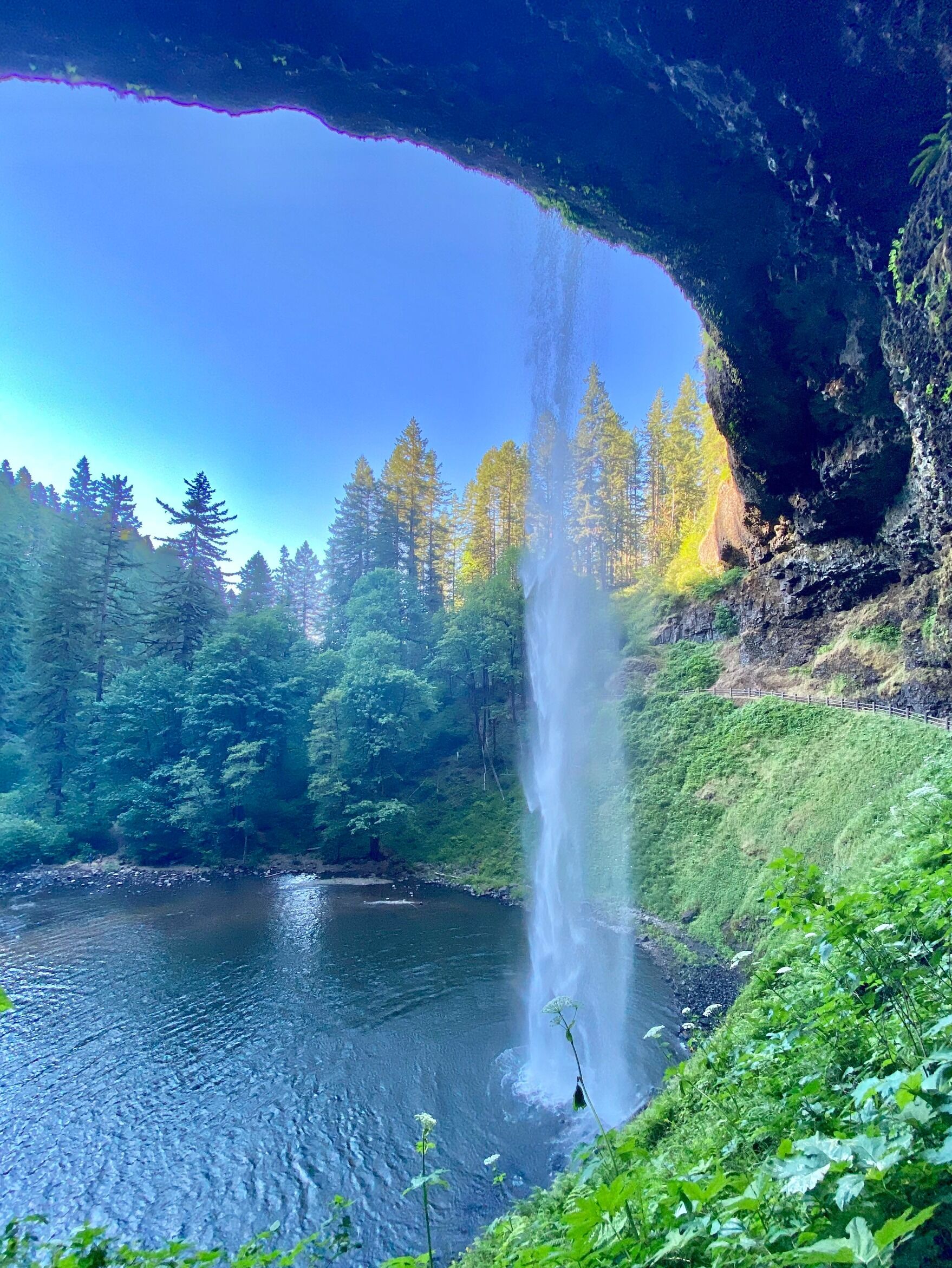 Picture of Silver Falls State Park
