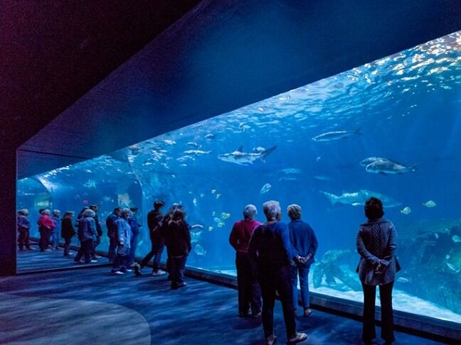 Picture of North Carolina Aquarium on Roanoke Island