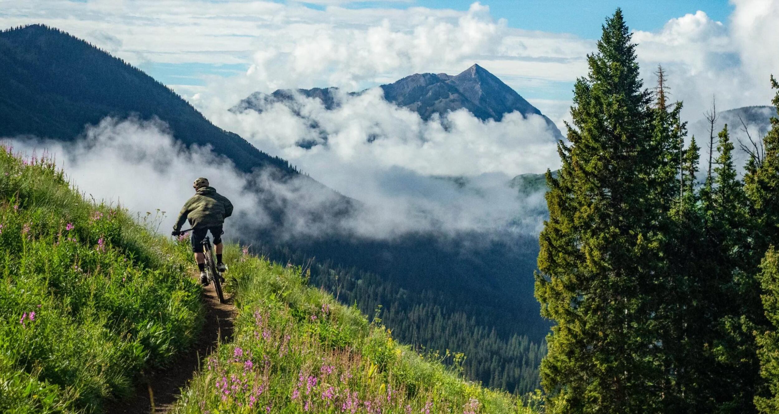 Picture of Mountain Biking