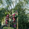 Bold Colors Brought This Wedding at Wild Carrot in St. Louis, Missouri, to Life