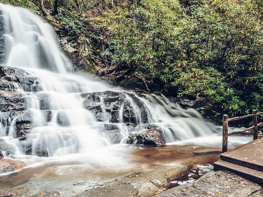 Picture of Laurel Falls