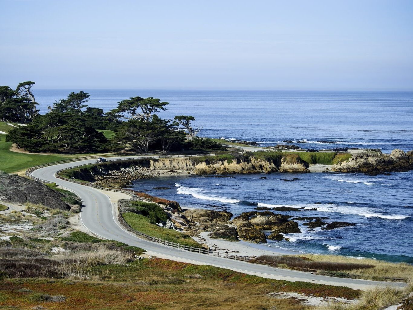 Picture of 17 Mile Drive Tour