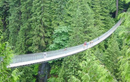 Picture of Capilano Suspension Bridge