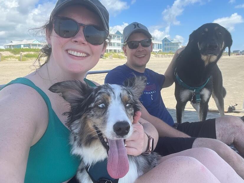 Picture of Proposal with Pups
