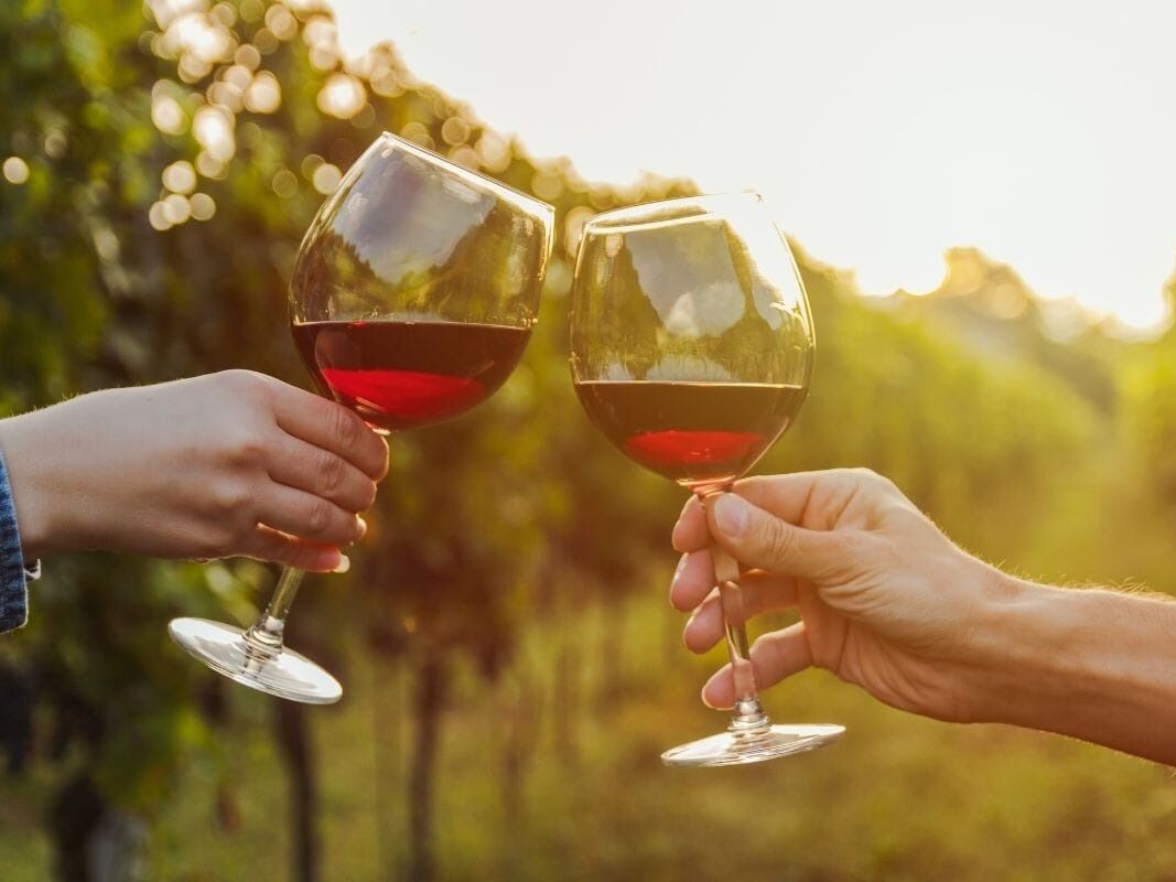 Picture of Ramona Valley Vineyards - Tasting Tours