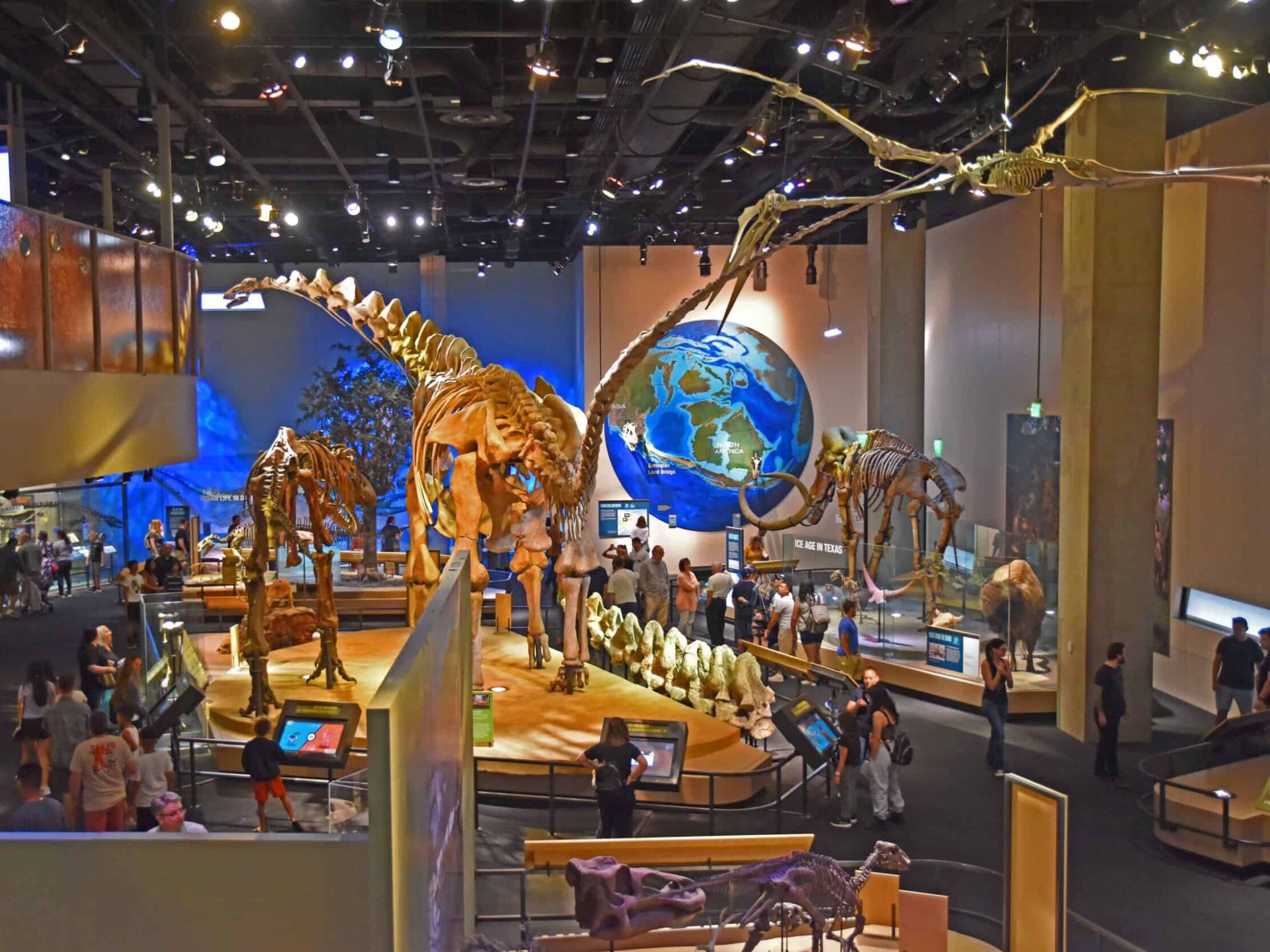Picture of Perot Museum of Nature and Science