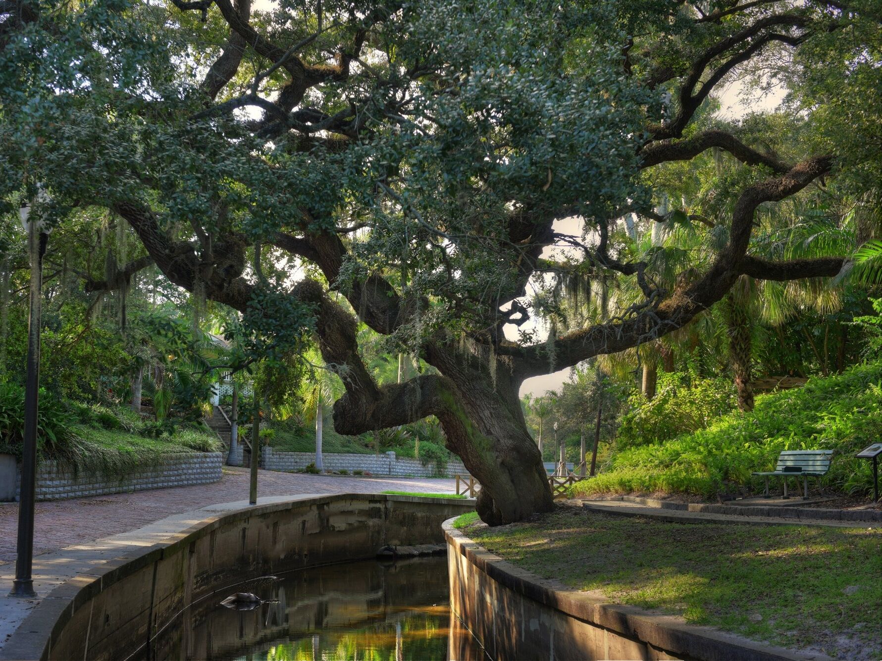 Picture of Walk Historic Roser Park