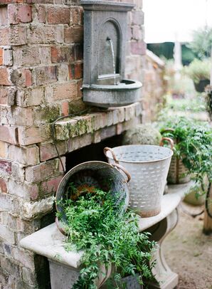 Potted Organic Vine Decor