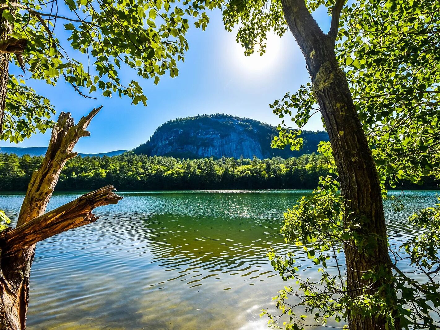 Picture of Echo Lake State Park