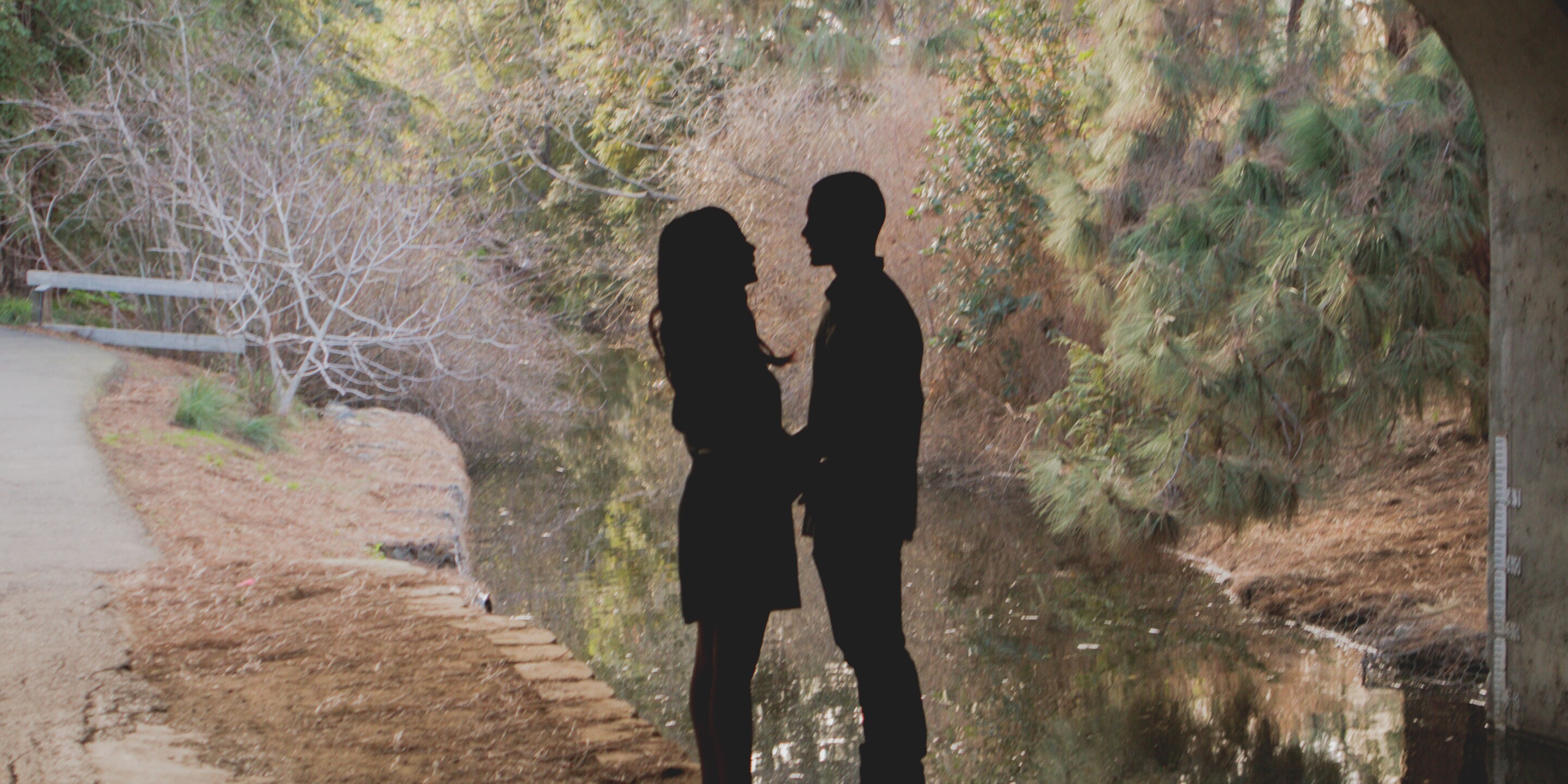 Liane & Michael Home Page Banner