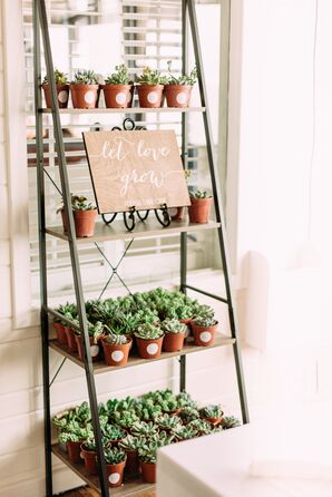 Potted Succulent Favors
