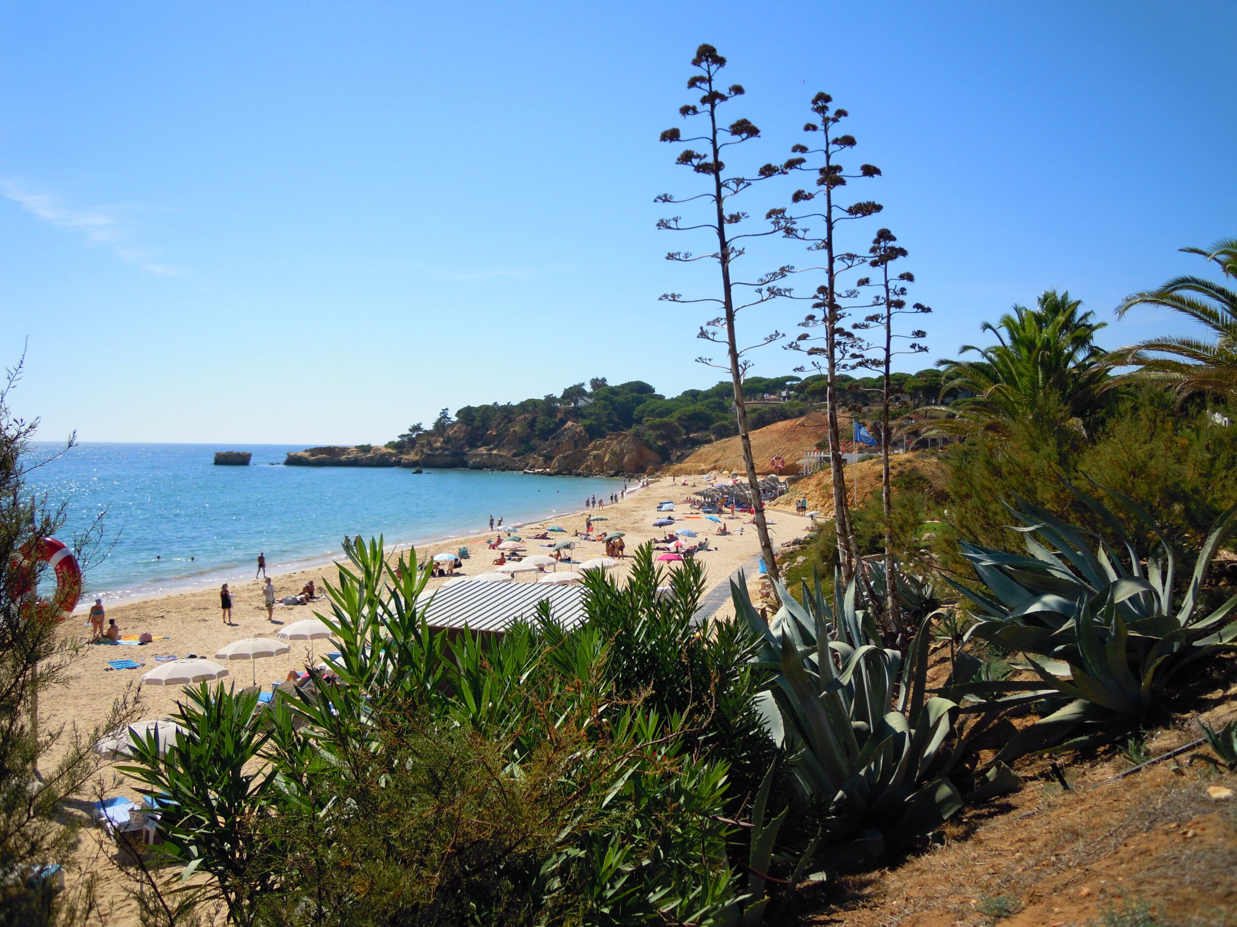 Picture of Praia da Santa Eulalia