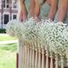 Simple Baby's Breath Bouquets