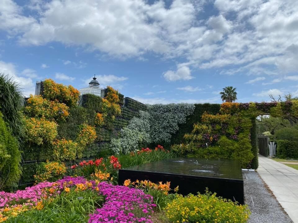 Picture of New Orleans City Park