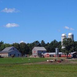 Picture of Hornstra Farms