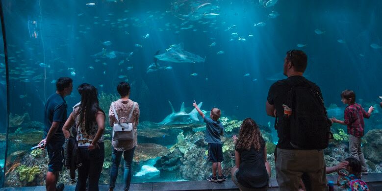 Picture of Shedd Aquarium