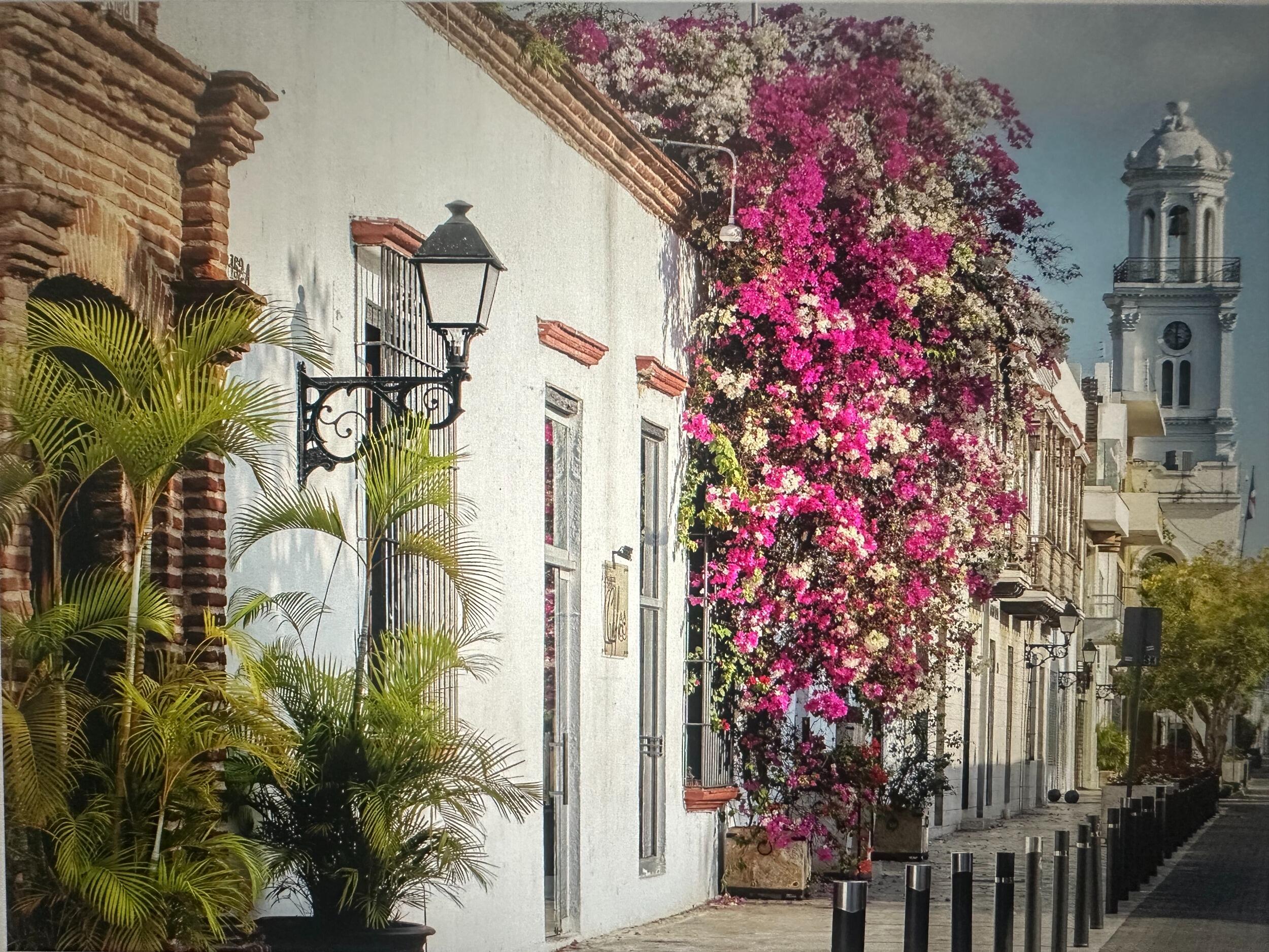 Picture of Best of Santo Domingo and nearby areas