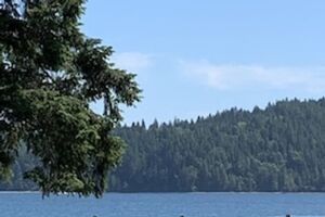 Picture of Creekside Inn