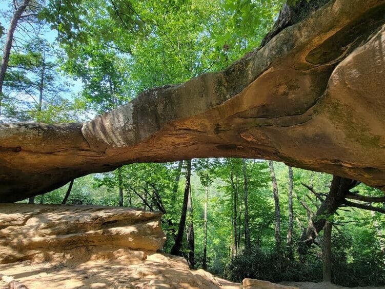Picture of HIking 