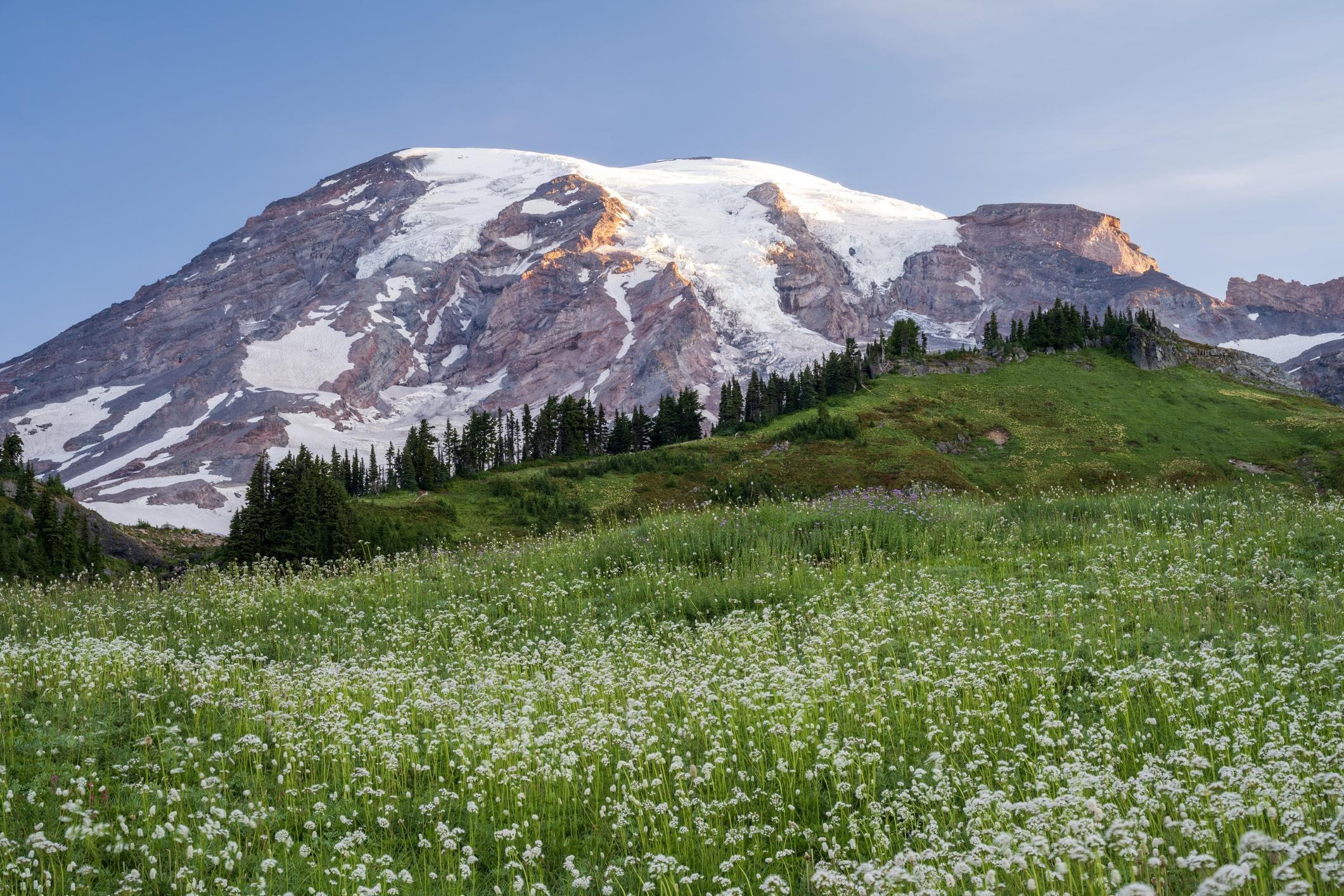 Picture of Mount Rainier National Park (Sunrise Area)