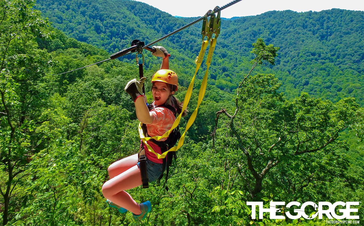 Picture of The Gorge - A Zipline Canopy Tour