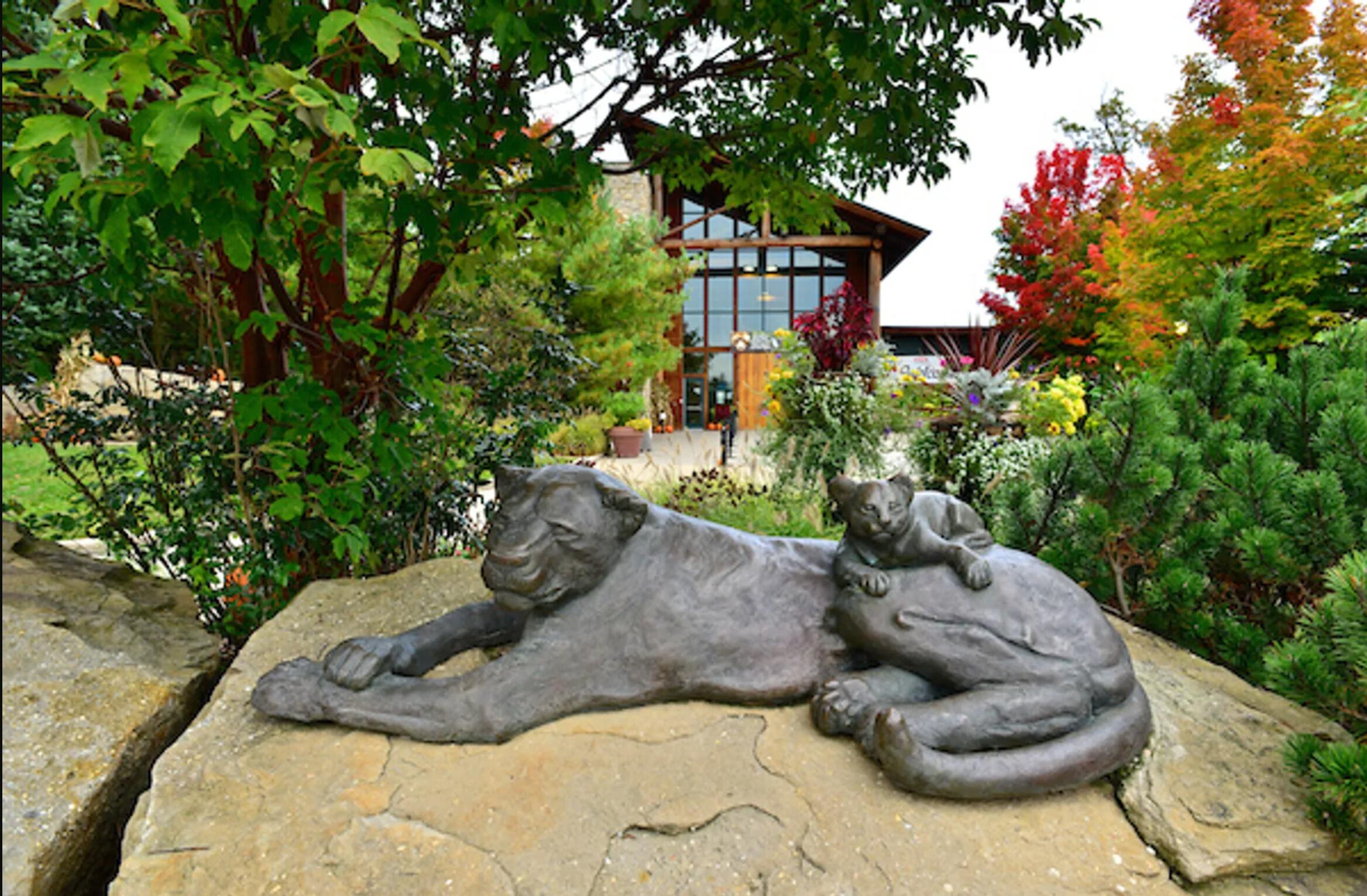 Picture of Akron Zoo