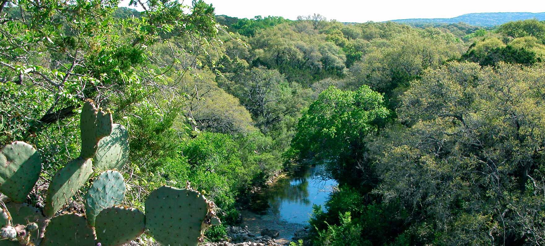 Picture of Government Canyon State Natural Area