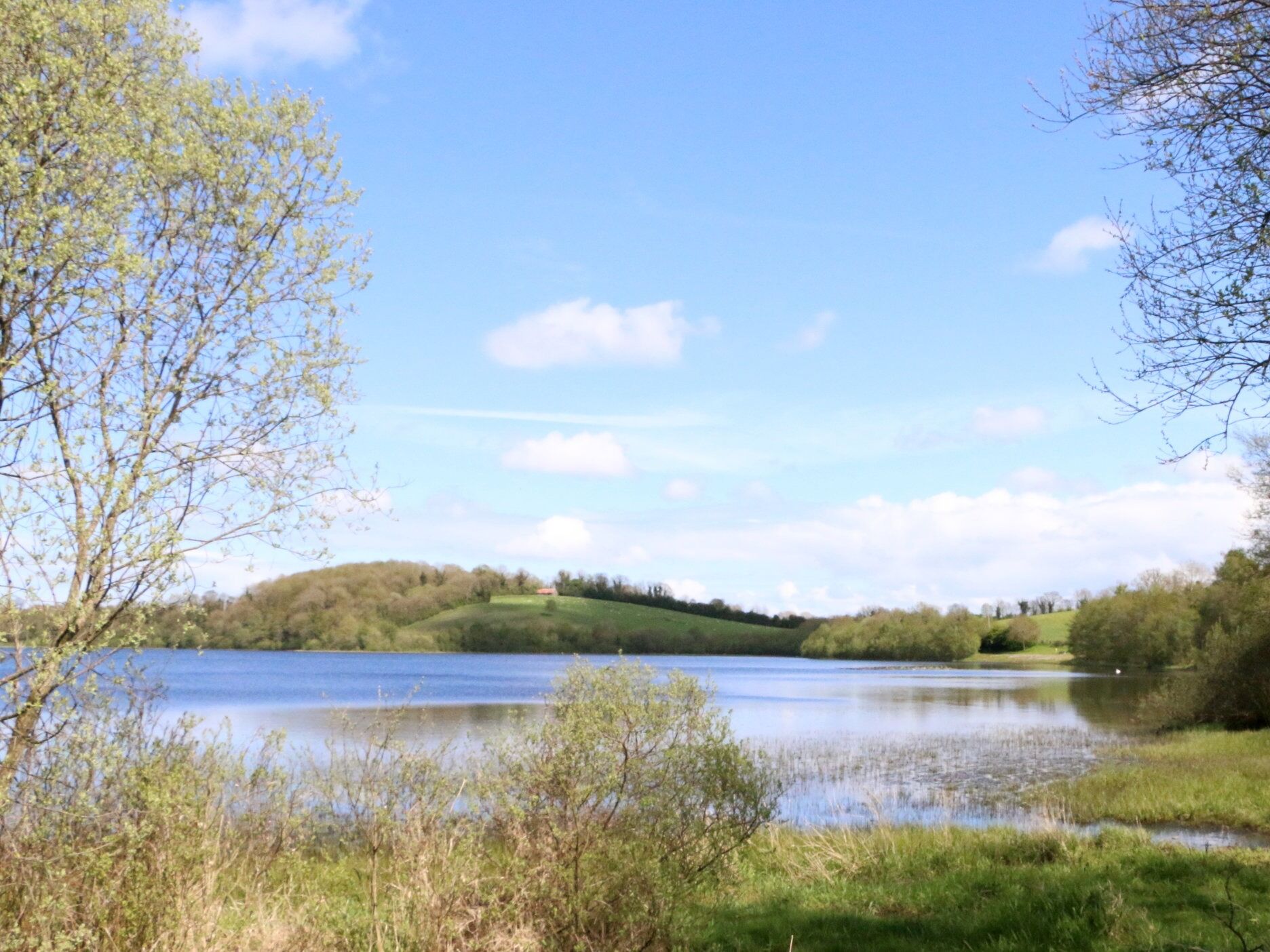 Picture of Emy Lakehouse