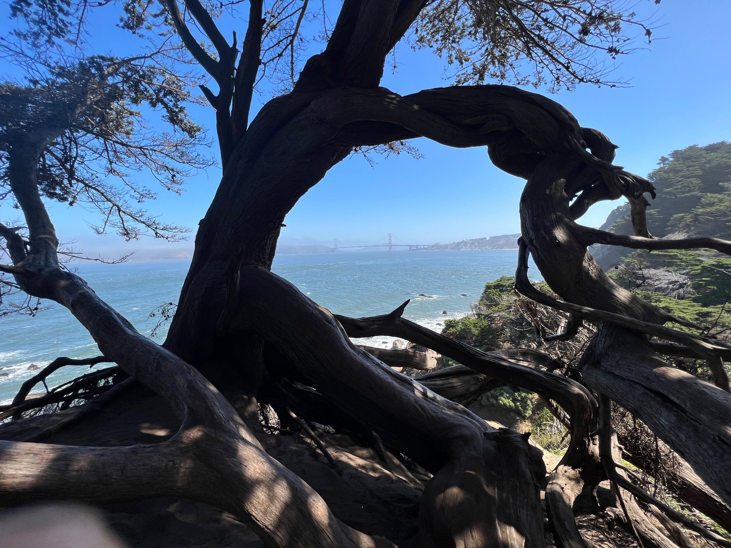 Picture of Lands End Lookout