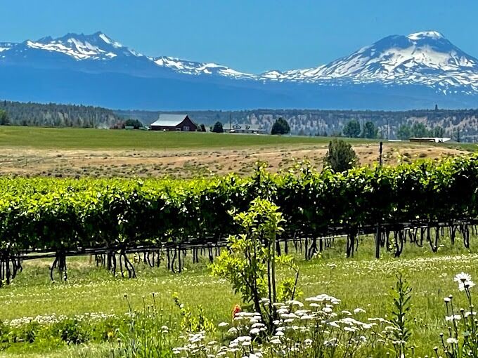 Picture of Faith Hope & Charity Vineyards