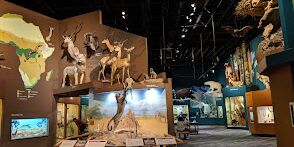 Picture of Cleveland Museum of Natural History