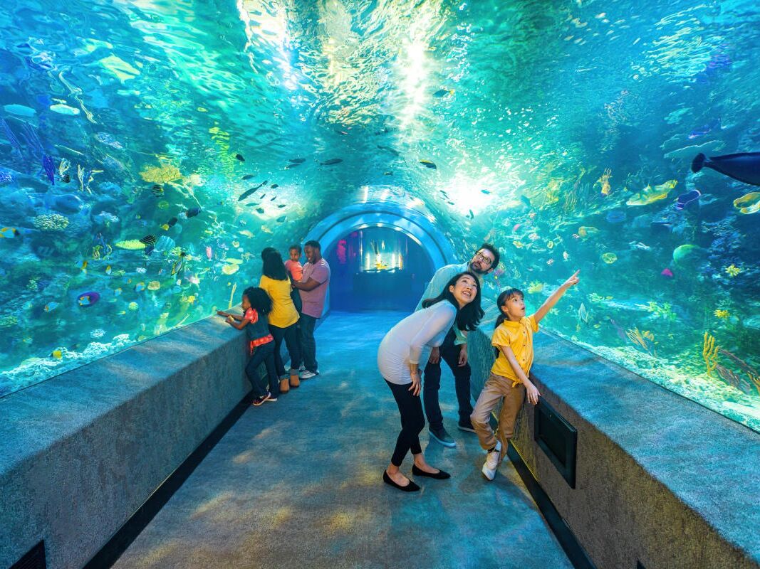 Picture of Newport Aquarium