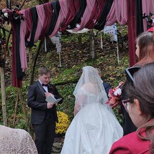 Gallery Photo 55