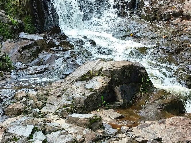 Picture of Chester Creek