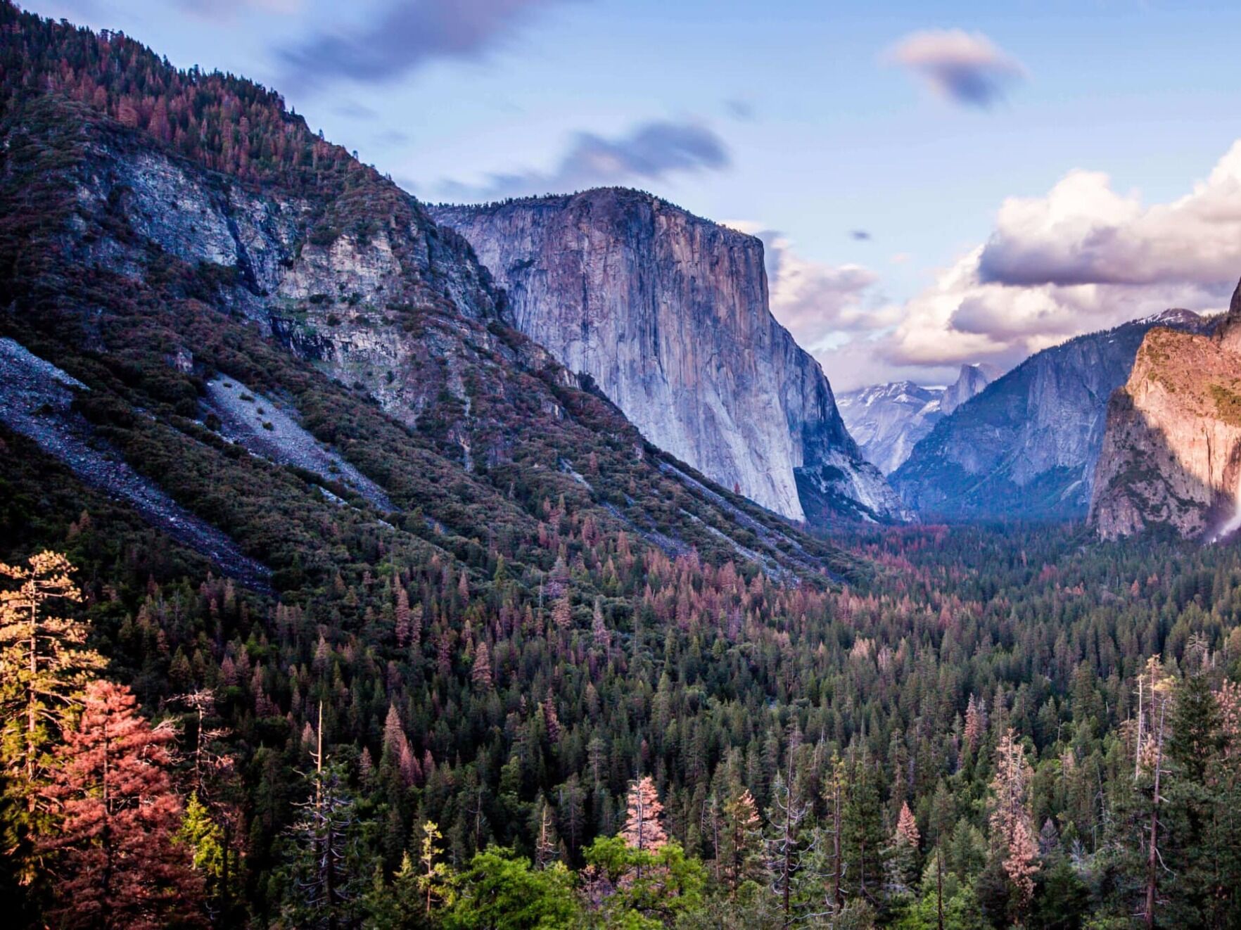 Picture of Yosemite National Park