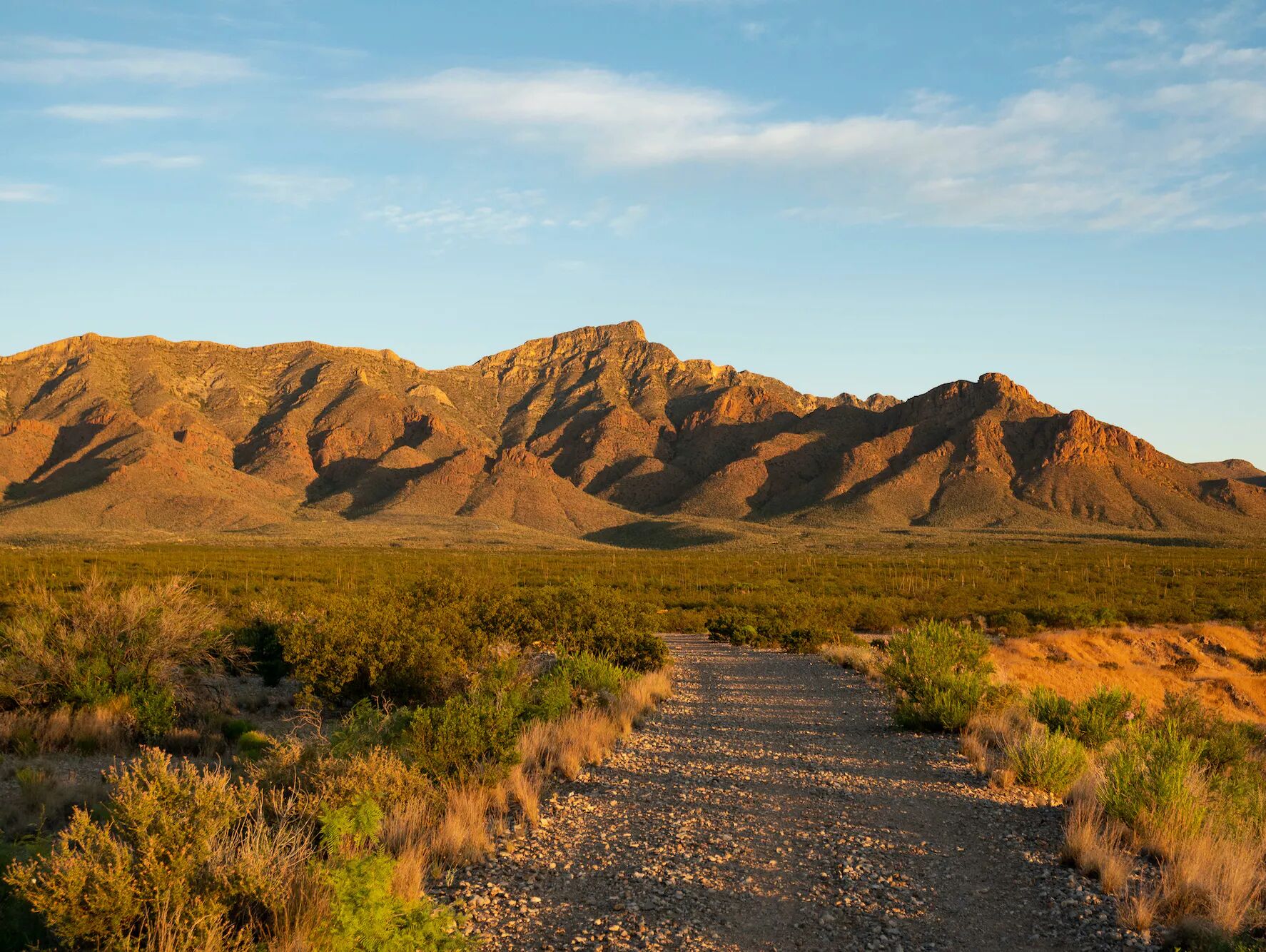 Picture of Franklin Mountains State Park
