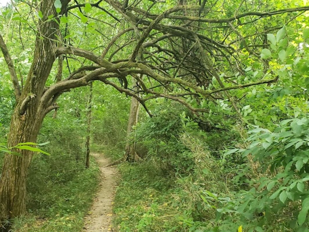Picture of Table Rock State Park