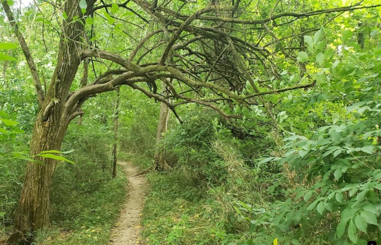 Picture of Table Rock State Park