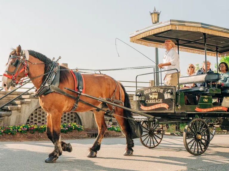 Picture of Old South Carriage Company