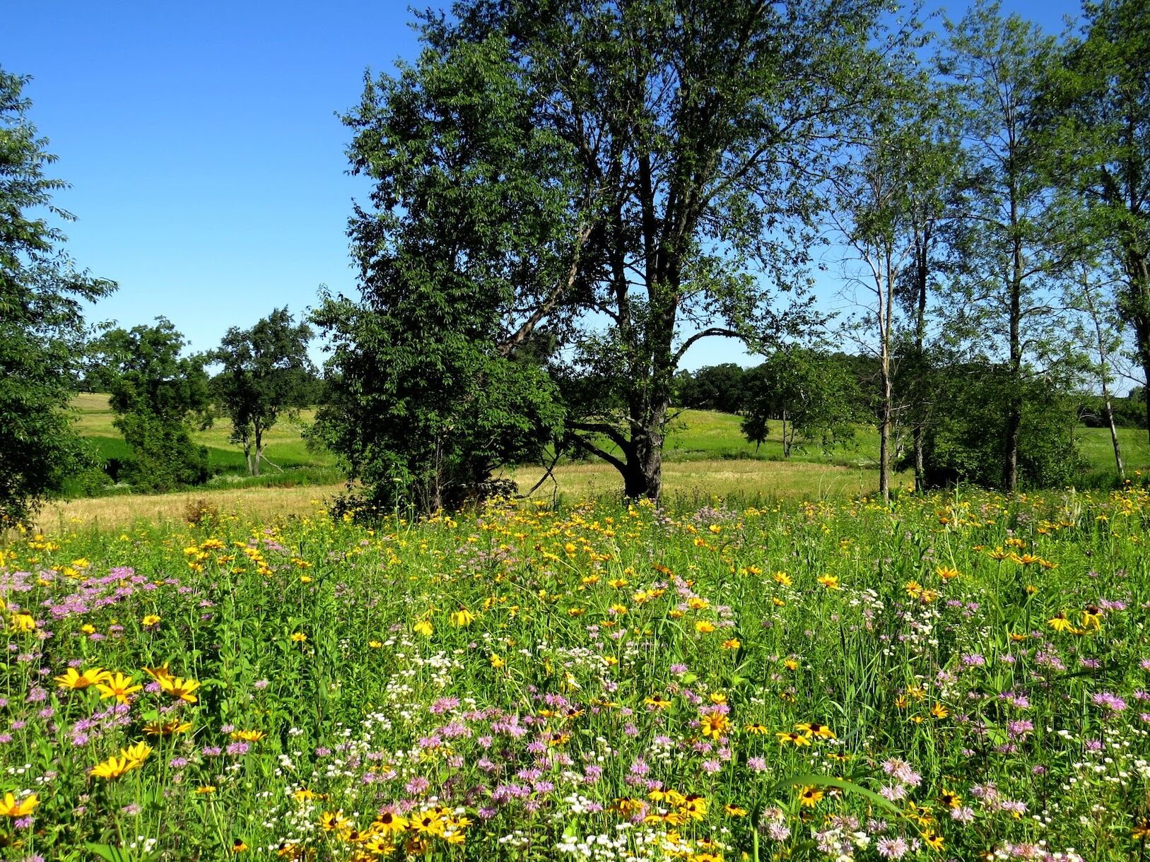 Picture of Kettle Moraine State Forest - Lapham Peak Unit