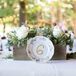 Vintage Plate Table Numbers