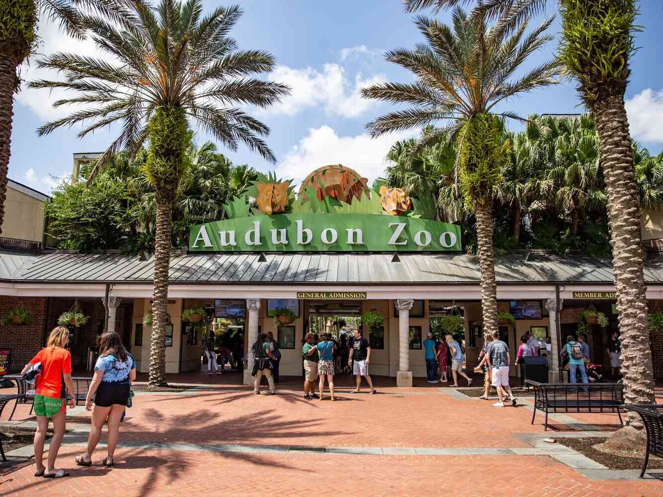 Picture of Audubon Zoo