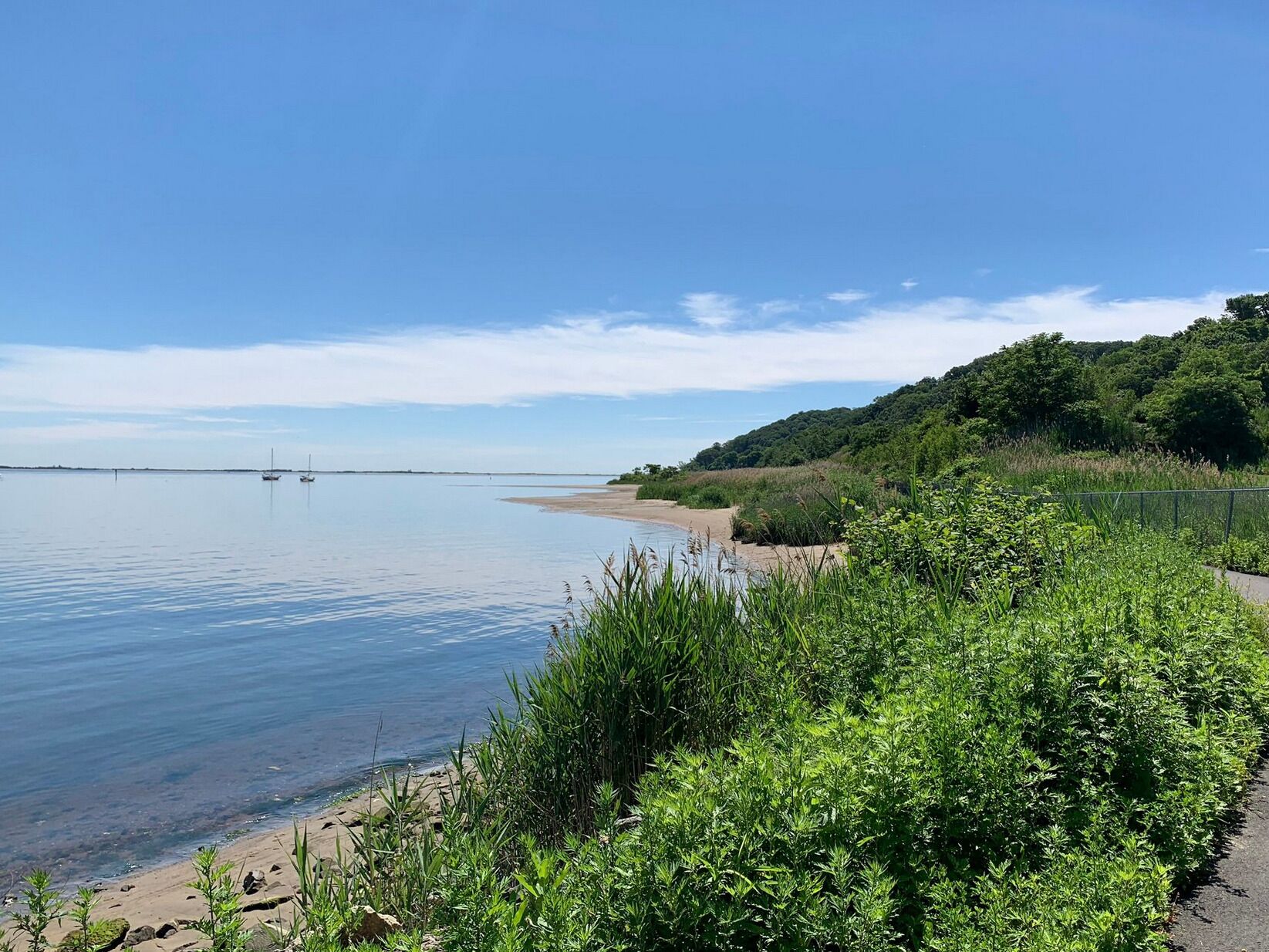 Picture of Hiking - Bay shore Trail