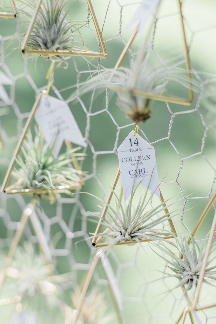 Air Plant Escort Cards Displayed in Geometric Holders