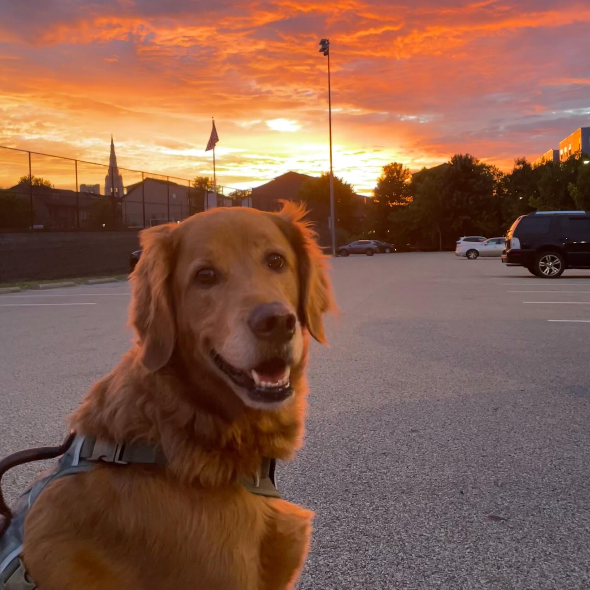 Murphy