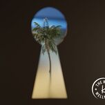 keyhole with palm tree paradise in the backdrop depicting The Best Credit Card to Pay for Honeymoon Travel